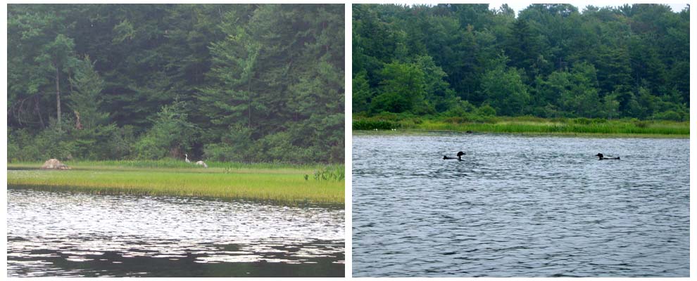 Canoe to Stewarts Landing 2