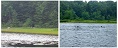Canoe to Stewarts Landing 2